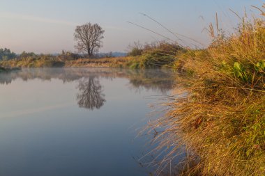 Bir nehir üzerinde sisli gündoğumu