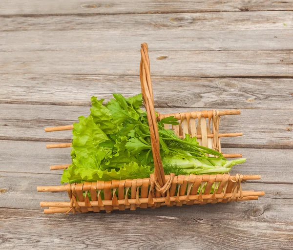 Verse salade in mand — Stockfoto