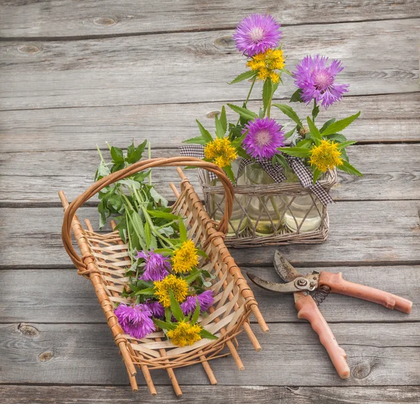 Sedum und Kornblumen in einem Korb — Stockfoto