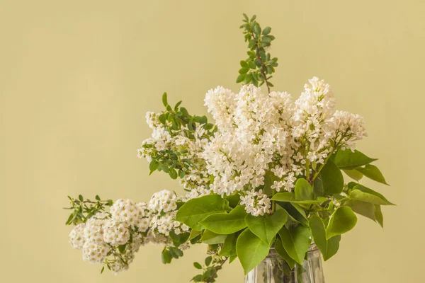 Boeket Van Bloeiende Witte Lila Spirea Een Groene Achtergrond — Stockfoto