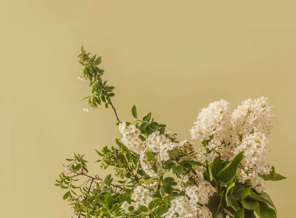 Yeşil Arka Planda Çiçek Açan Beyaz Leylak Spirea Buketi — Stok fotoğraf