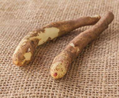 Çuval bezinde görkemli yumru 