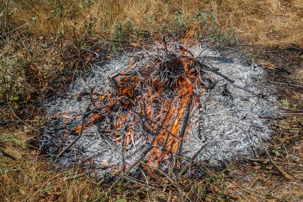 Eld Torrt Gräs Varma Sommaren Eldens Början — Stockfoto