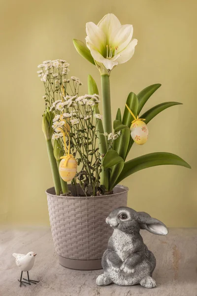 Concept Spring Easter Blooming Hippeastrum Amaryllis Siberia Next Figure Rabbit — Stock Photo, Image