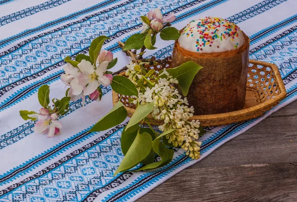 Easter cake and apple blossom branch — Stock Photo, Image