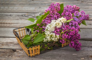 sepet ve leylak dalı