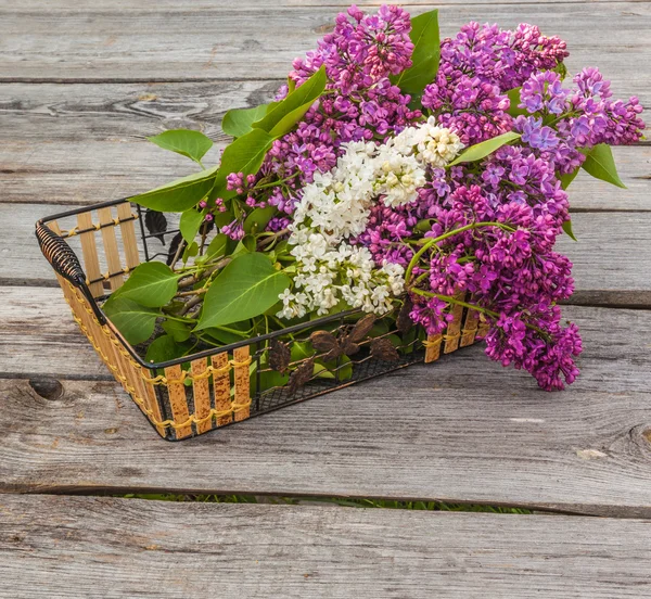 Basket with a branch of lilac — Stock Photo, Image