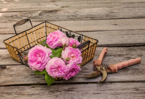 Bouquet de rosa salvaje en canasta —  Fotos de Stock