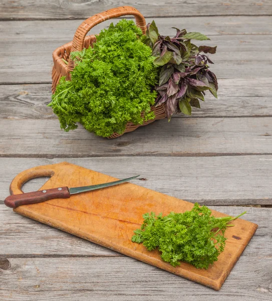 Fresh parsley and basil — Stock Photo, Image