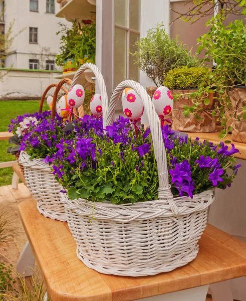 Basket with blooming bells — Stock Photo, Image