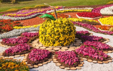 Krizantem Peyzaj Park