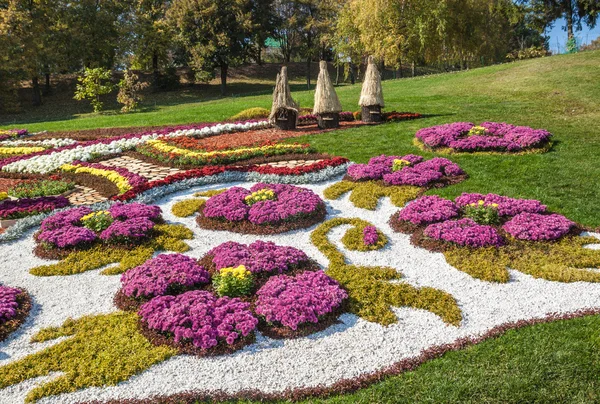 Chrysanthemen zeigen Landschaftspark — Stockfoto