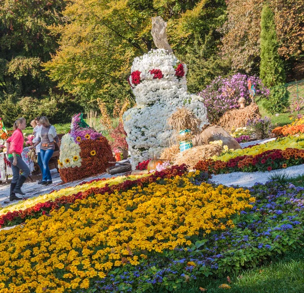 Chrysanthemums Landscape Park — Stock Photo, Image