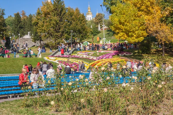 Chrysanthemums Show Landscape Park — Stock Photo, Image