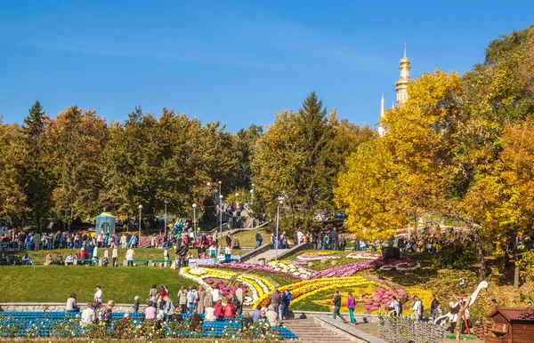 Krysantemum Visa Landscape Park — Stockfoto