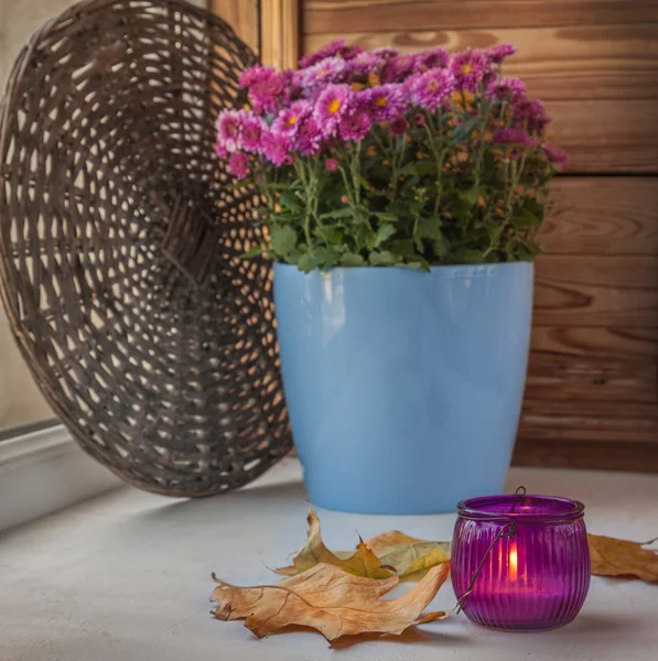 Candle and flowering chrysanthemums — Stock Photo, Image