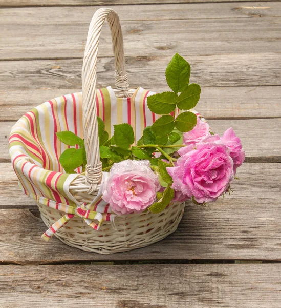 Bouquet of wild rose — Stock Photo, Image