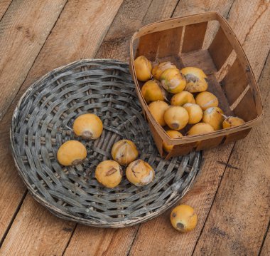 Ampuller dekoratif yay