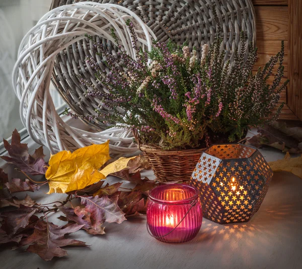 Heather auf der box — Stockfoto