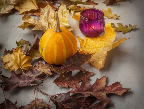 Portacandele in vetro con la zucca — Foto Stock