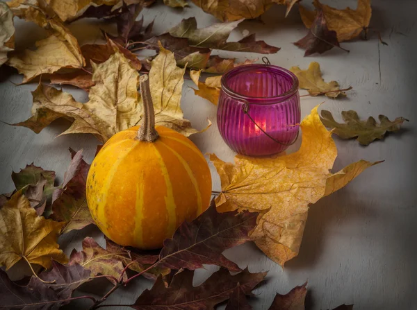 Portacandele in vetro con la zucca — Foto Stock