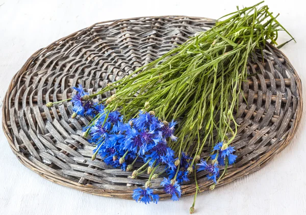 Bouquet of purple cornflowers — Stock Photo, Image