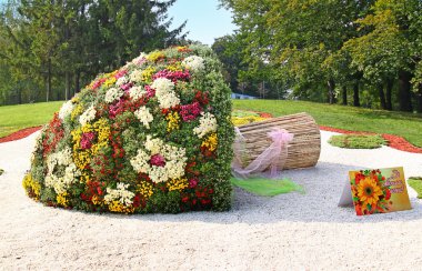 Krizantem göster: Peyzaj Park