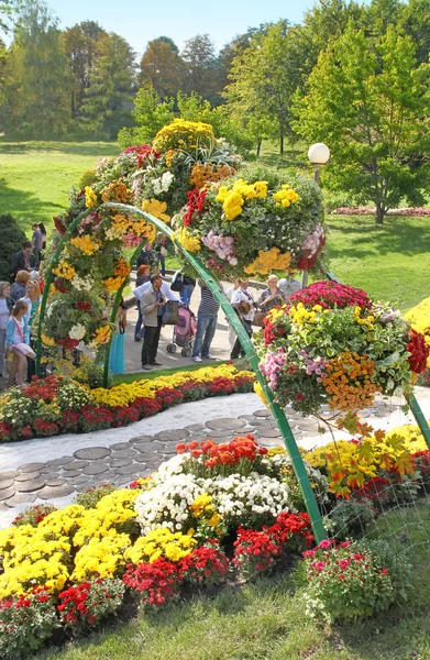 Chrysanthemums Show Landscape Park — Stock Photo, Image