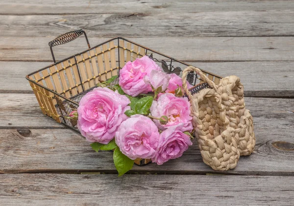 Bouquet di rosa selvatica — Foto Stock