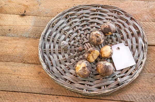 Bollen decoratieve boog — Stockfoto