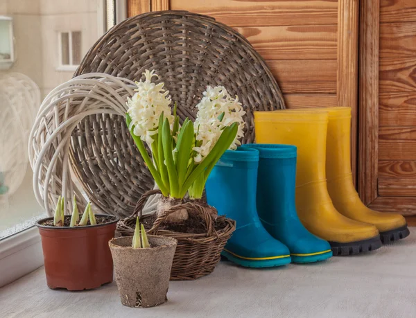 White hyacinths in a basket and yellow and blue rubber boots — Stock Photo, Image