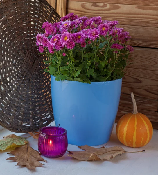 Kerzenhalter mit einer Kerze auf einem Hintergrund von Büschen chrysanthemu — Stockfoto