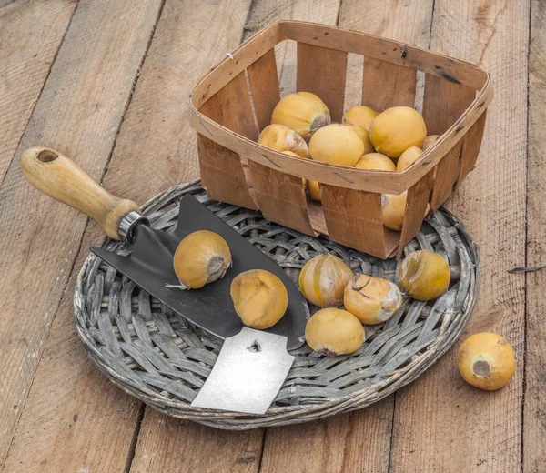 Bulbs decorative bow on a wooden table — Stock Photo, Image