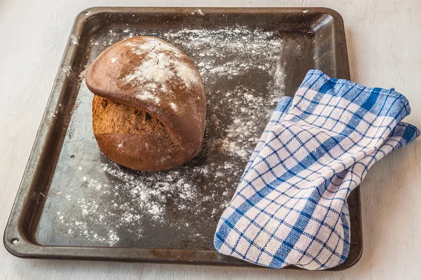 Färska rågbröd — Stockfoto