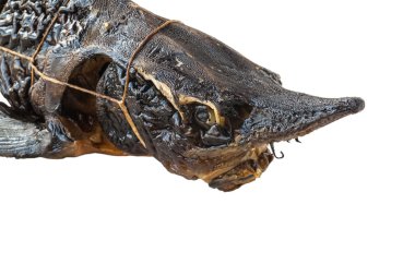 Kafa mersin balığı füme