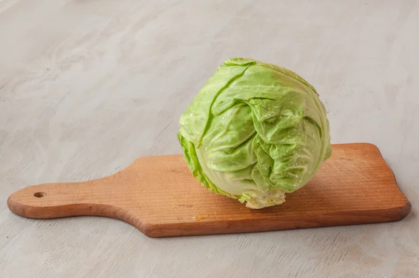 Headed out young cabbage — Stock Photo, Image