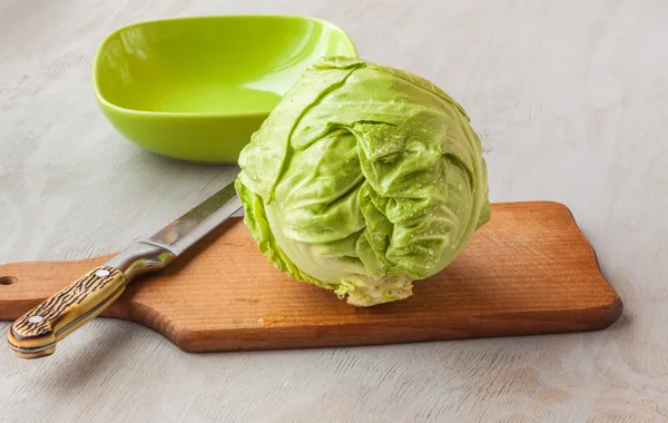 Young cabbage head — Stock Photo, Image