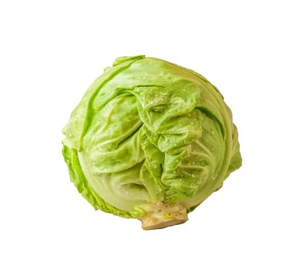 Headed out young cabbage — Stock Photo, Image