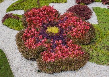 çiçek peyzaj park Kiev'de göster: