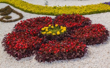 çiçek peyzaj park Kiev'de göster: