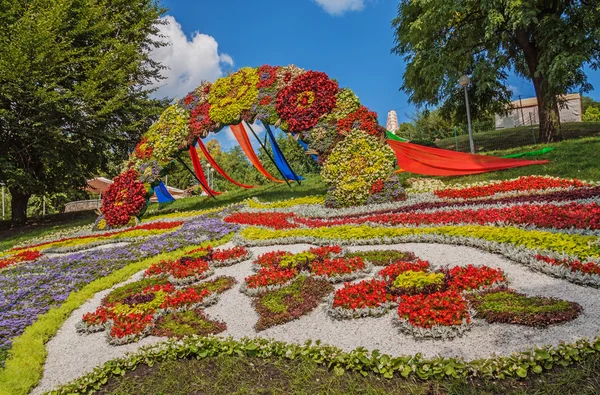 Bloemenshow landschapspark in kiev — Stockfoto