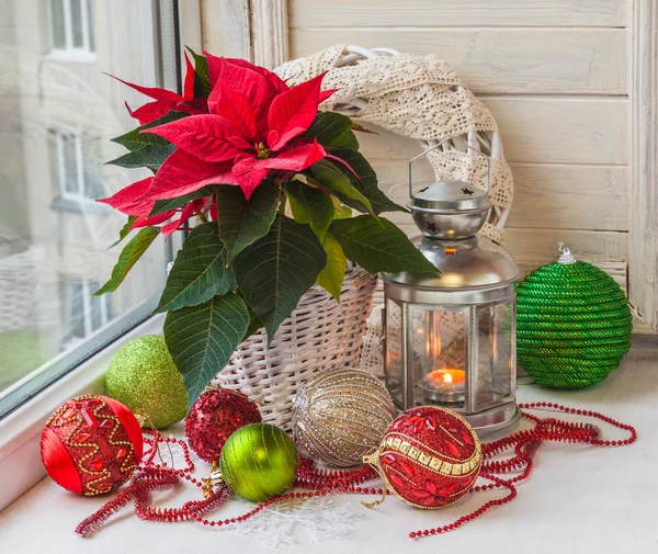 Poinsettia and a lantern in the window — Stock Photo, Image