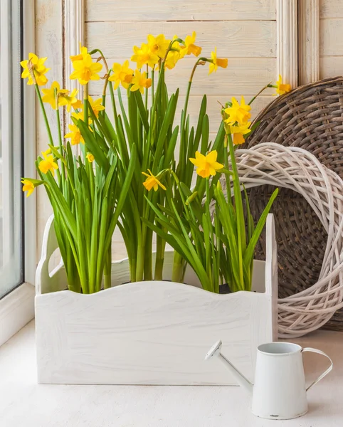 Yellow daffodils in balcony boxes — Stock Photo, Image