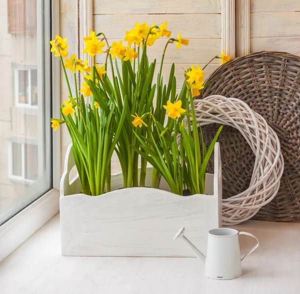 Narcisos amarillos en cuadros de balcón — Foto de Stock