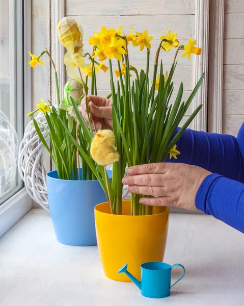 Vrouwelijke handen ingericht door Pasen pot — Stockfoto