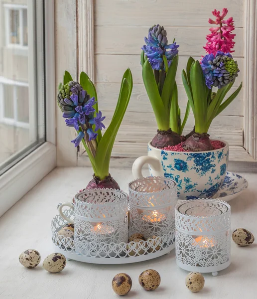 Hyacinths in vintage cups and candlesticks