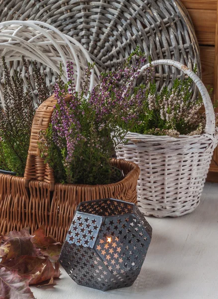 Herbstkomposition mit Heidekraut — Stockfoto