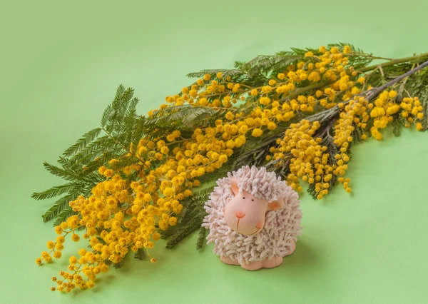 Easter background with mimosa — Stock Photo, Image