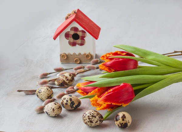 Strauss aus Tulpen und Zweigen der Weide — Stockfoto