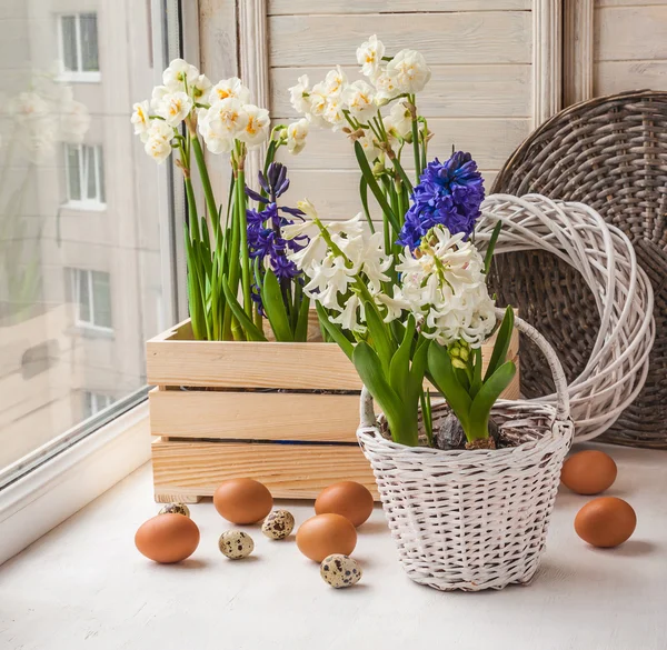 Decoración de Pascua de narcisos — Foto de Stock